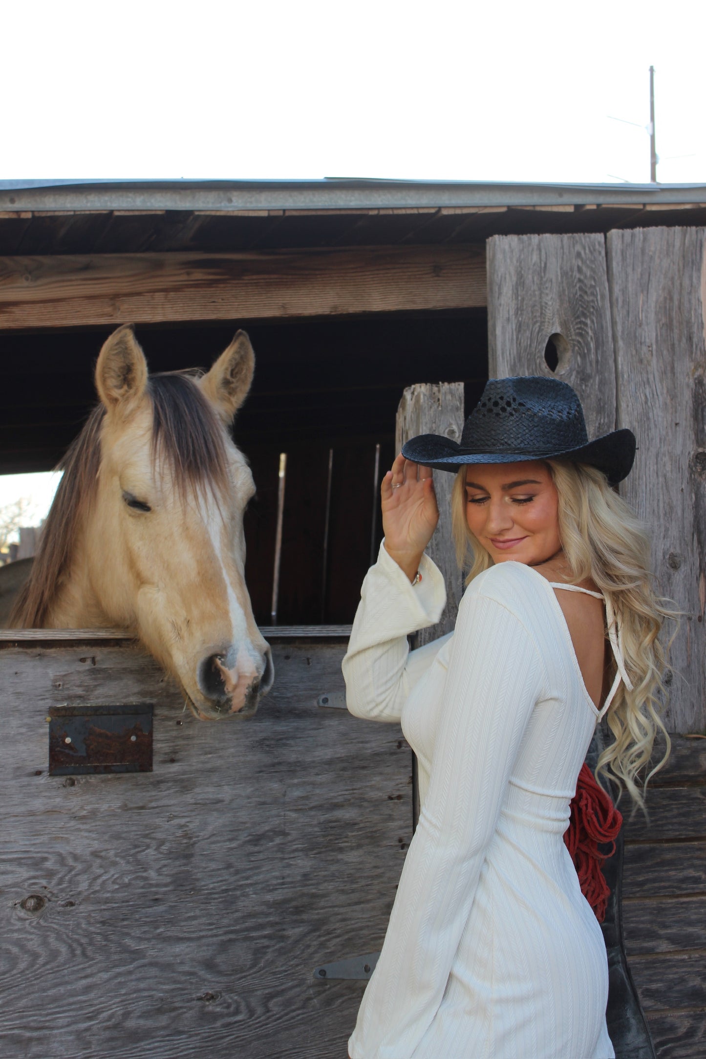 Backless Palomino White