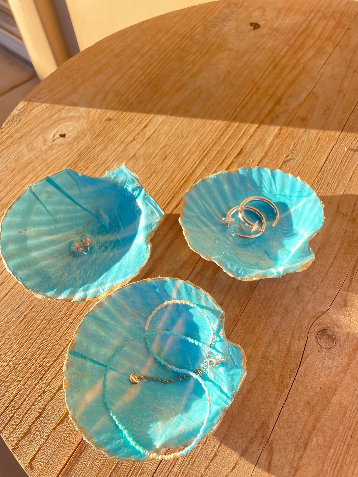 Seashell Jewelry Holder